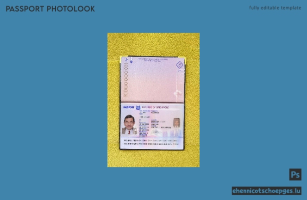 Vorschau auf das neue Passfoto für Singapurs neuen Pass 2017